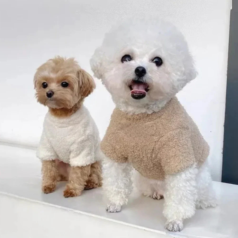 Cozy Dog Sweater