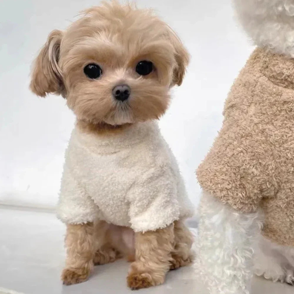Cozy Dog Sweater