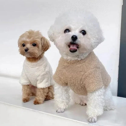 Cozy Dog Sweater