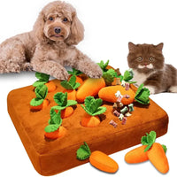12PCS Orange